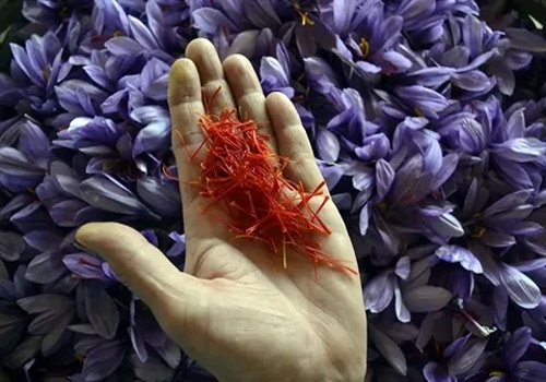 تصویر 5 از خرید و قیمت زعفران فله ای مشهد + فروش عمده